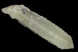 Sage-Green Quartz Crystal with Dual Core - Mongolia #169905-1